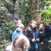 zoo 20